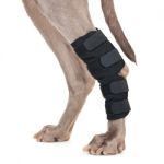 Dog Hock Brace