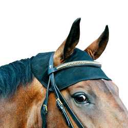 Nekbeschermer Paard