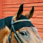 Nekbeschermer Paard
