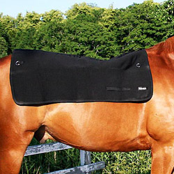 Rugverwarmer voor paard