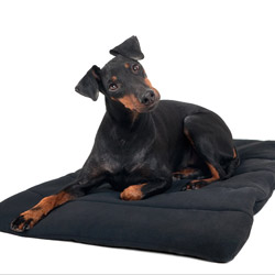Manta para perro